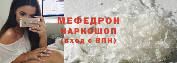 индика Волоколамск