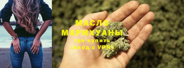индика Волоколамск