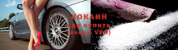 индика Волоколамск