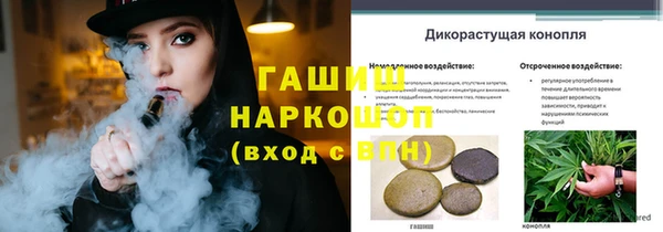 индика Волоколамск