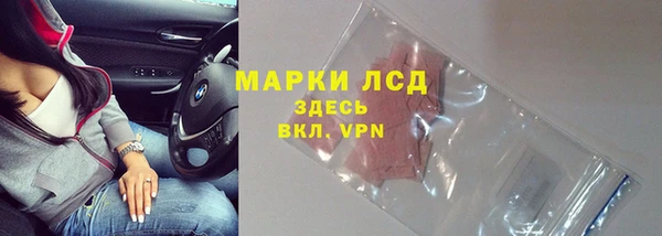 сатива Володарск