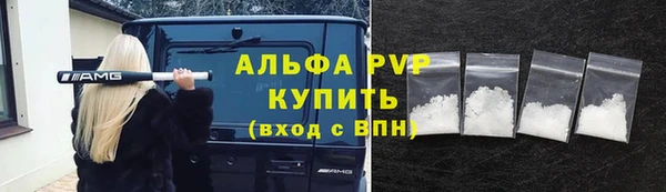 индика Волоколамск
