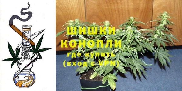 сатива Володарск