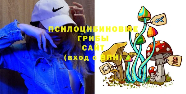 индика Волоколамск
