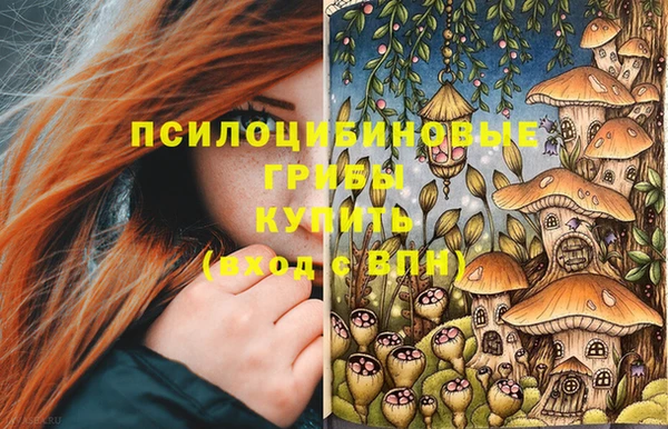индика Волоколамск