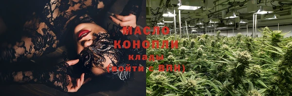 индика Волоколамск