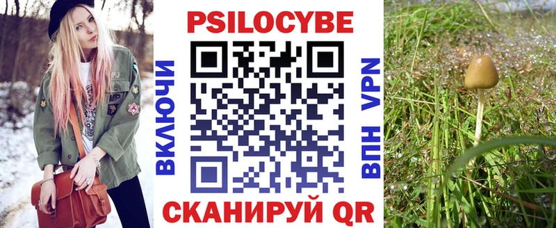 KRAKEN маркетплейс  закладка  Томск  Галлюциногенные грибы прущие грибы 